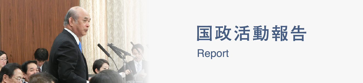国政活動報告